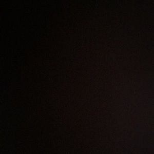 Meet your Posher, Poopy